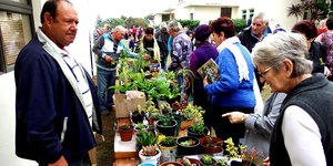 Gansbaai 2015 NGK Basaar  6